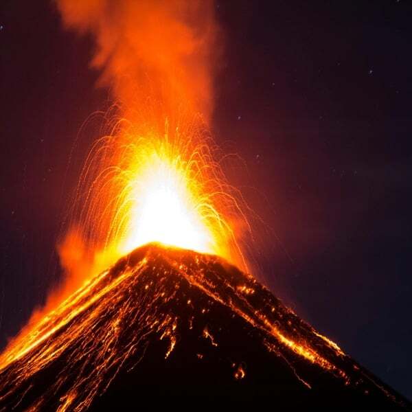 Cover art for You should of have known